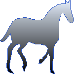 Equine  Prose