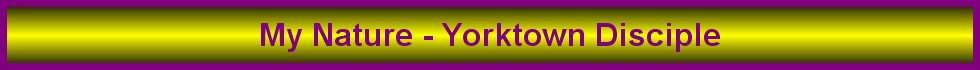 My Nature - Yorktown Disciple