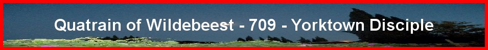 Quatrain of Wildebeest - 709 - Yorktown Disciple