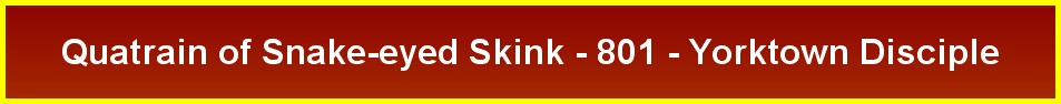 Quatrain of Snake-eyed Skink - 801 - Yorktown Disciple