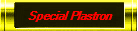 Special Framed Plastron
