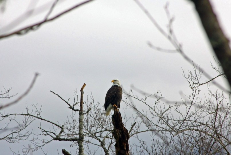 Weather Underground Photos