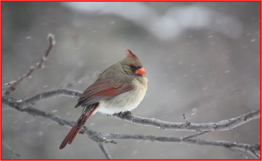 Weather Underground Photos