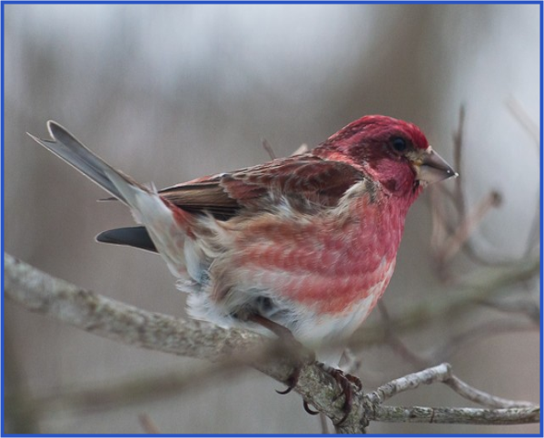 Weather Underground Photos