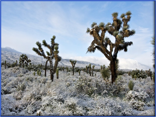 Weather Underground Photos