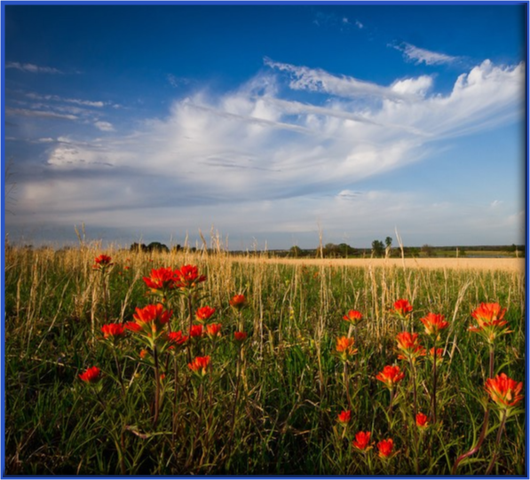 Weather Underground