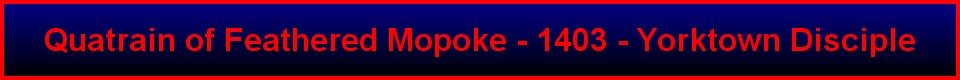 Quatrain of Feathered Mopoke - 1403 - Yorktown Disciple