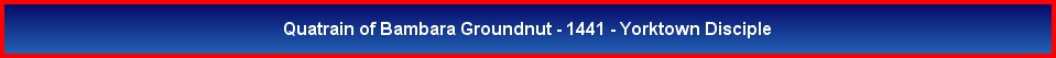 Quatrain of Bambara Groundnut - 1441 - Yorktown Disciple