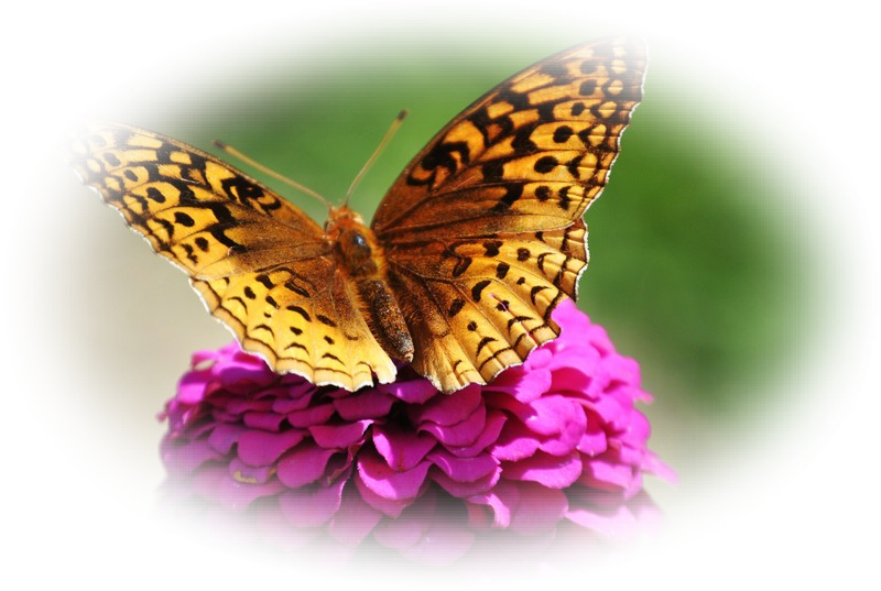 Quatrains