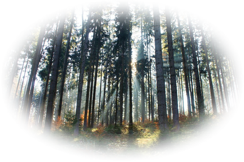 Quatrains