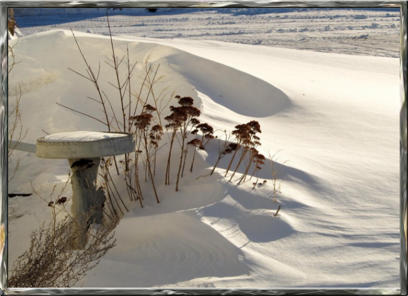 Weather Underground Photo