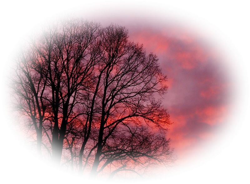 Quatrains