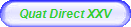 Quatrain Directive XXV